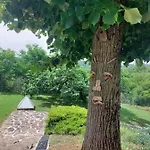 Appartement Tra Le Colline San Cristoforo