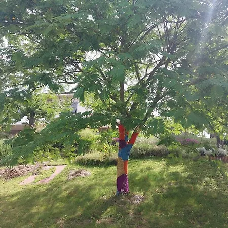 Lejlighed Tra Le Colline *