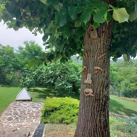 Appartamento Tra Le Colline San Cristoforo