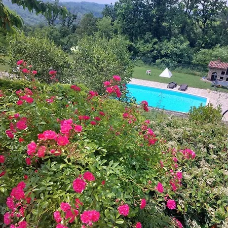 Tra Le Colline